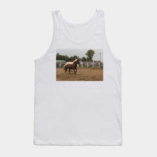 Horses in a trot Tank Top